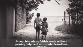 Romans 14:1