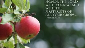 Proverbs 3:9