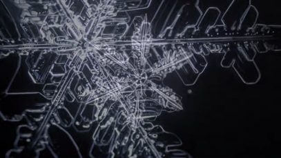 What Do Snowflakes And Humans Have In Common?