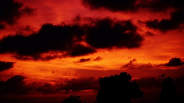 chris-barbalis-aX4zU9Rp7jo-unsplash